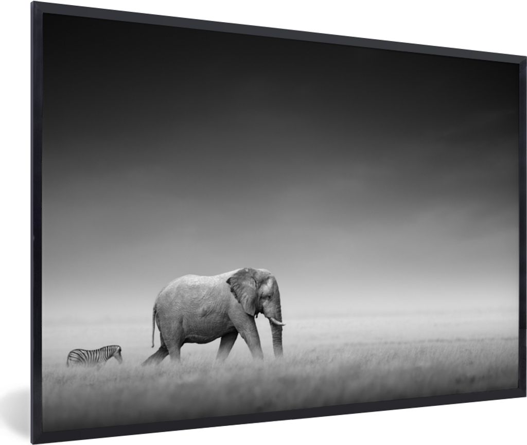 MuchoWow Gerahmtes Poster Elefant - Tiere - Landschaft - Schwarz und weiß - Zebra 60x40 cm - Poster mit Schwarzem Bilderrahmen Wandposter Rahmen...
