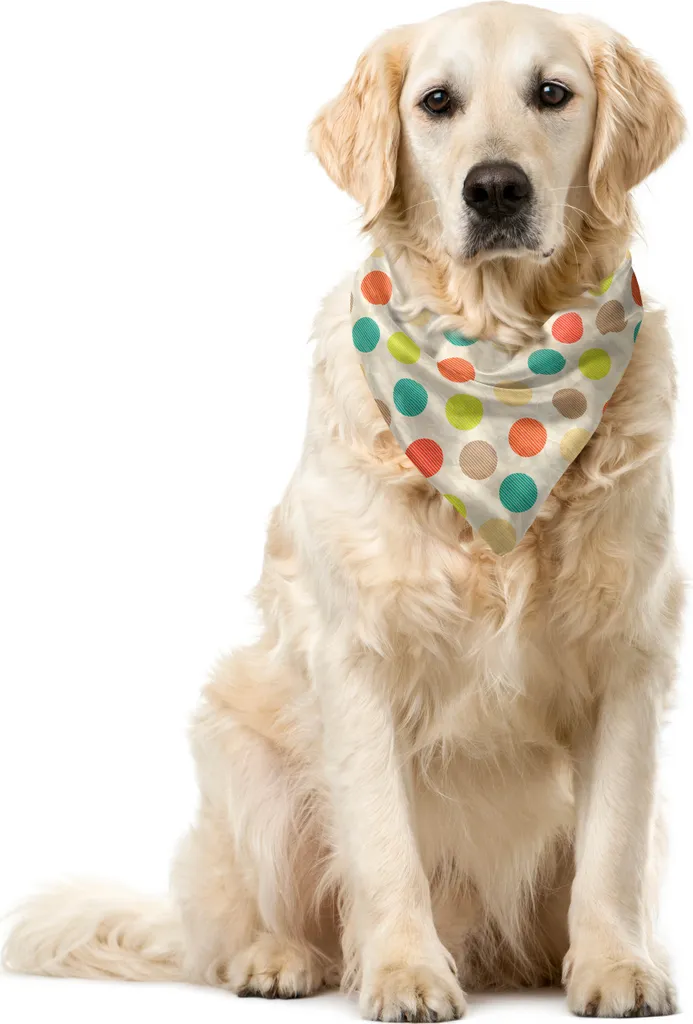 Foulard Cane ABAKUHAUS 40cm Multicolore - Look Urban Grunge 2026
