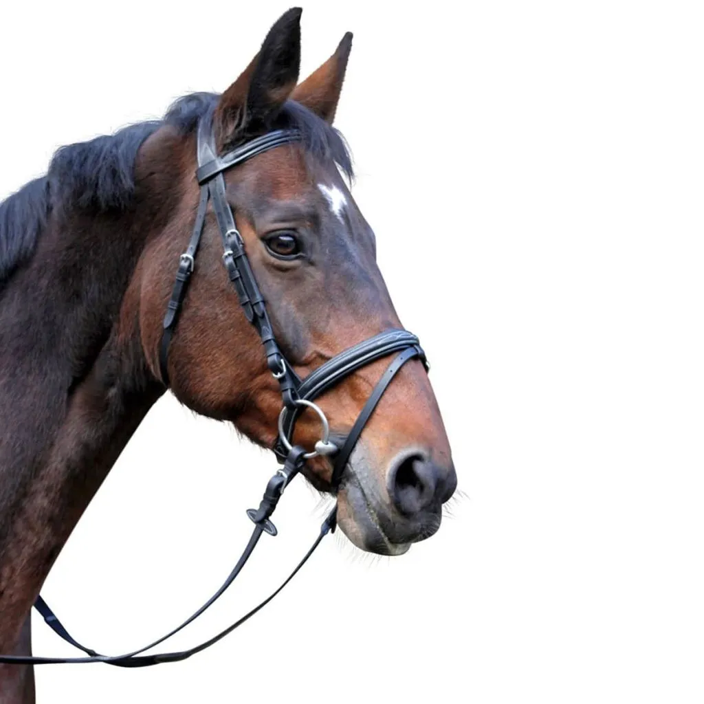 Kerbl Bridon Classic en cuir noir pour poney modèle 326138 robuste