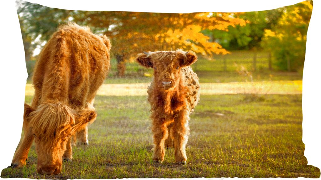 MuchoWow Zierkissen Sofakissen Wohnzimmer Dekokissen 50x30 cm Schottisches Hochlandrind - Kalb - Herbst - Wohnzimmerdekoration - Polster mit Photo