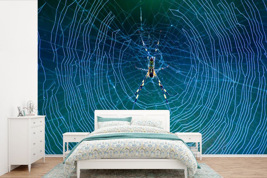 MuchoWow Fototapete für Wohnzimmer oder Schlafzimmer Wandtapete Vinyl Motivtapete Spinne in blauem Spinnennetz - 600x400 cm - Vinyltapeten