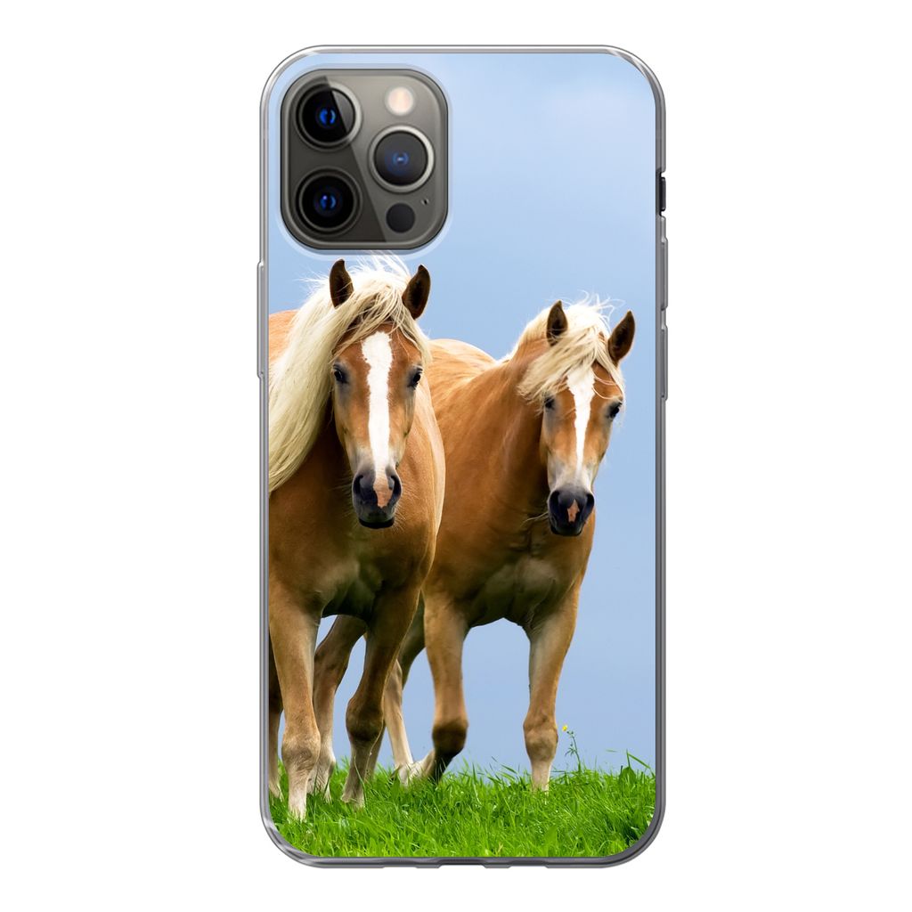MuchoWow® Handyhülle Schutzhülle Hülle für iPhone 13 Pro Produktbild 
