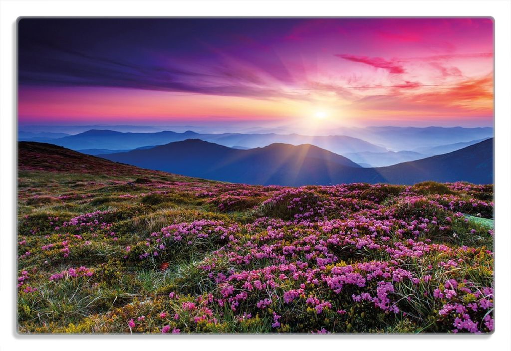 Wallario Frühstücksbrettchen aus Glas 20 x 30 cm mit rutschfesten Füßen, Motiv Blumenbedeckte Wiese bei Sonnenuntergang