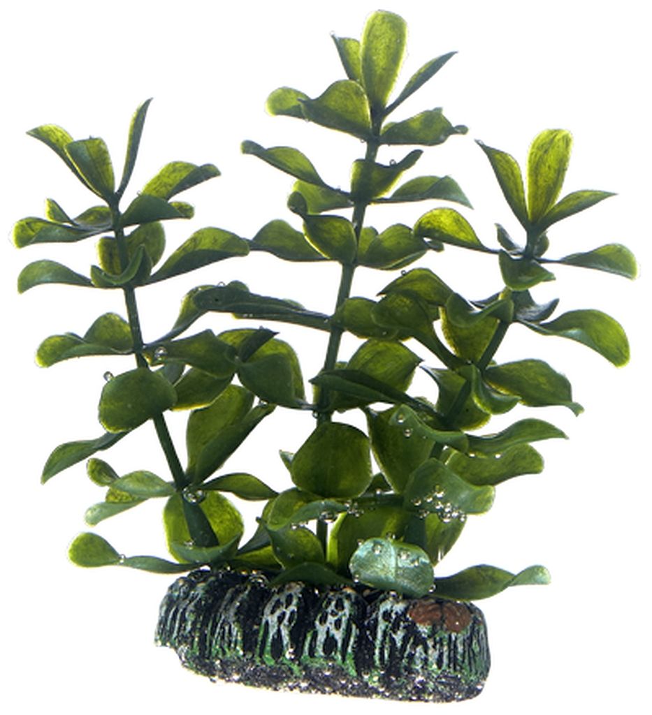 Hobby Bacopa, künstliche Pflanze 7 cm