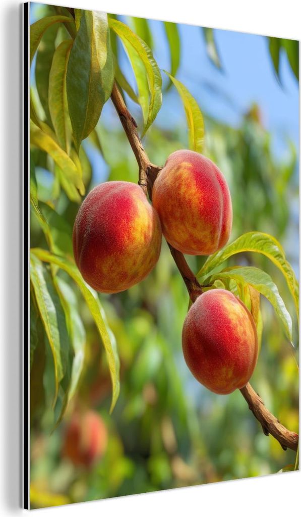 MuchoWow Wanddekoration Metall Metallbild Wandkunst 90x120 cm Pfirsich - Blätter - Sonnenlicht MuchoWow Aluminium Gemälde - Industrial