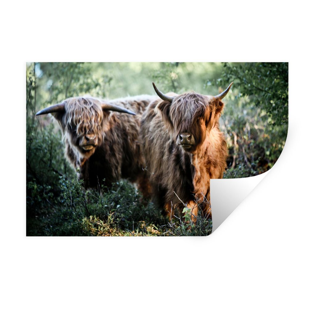 MuchoWow Wandtattoo Wandsticker Wandaufkleber Schottische Highlander - Wald - Tiere 90x60 cm Selbstklebend und Repositionierbar - Aufkleber