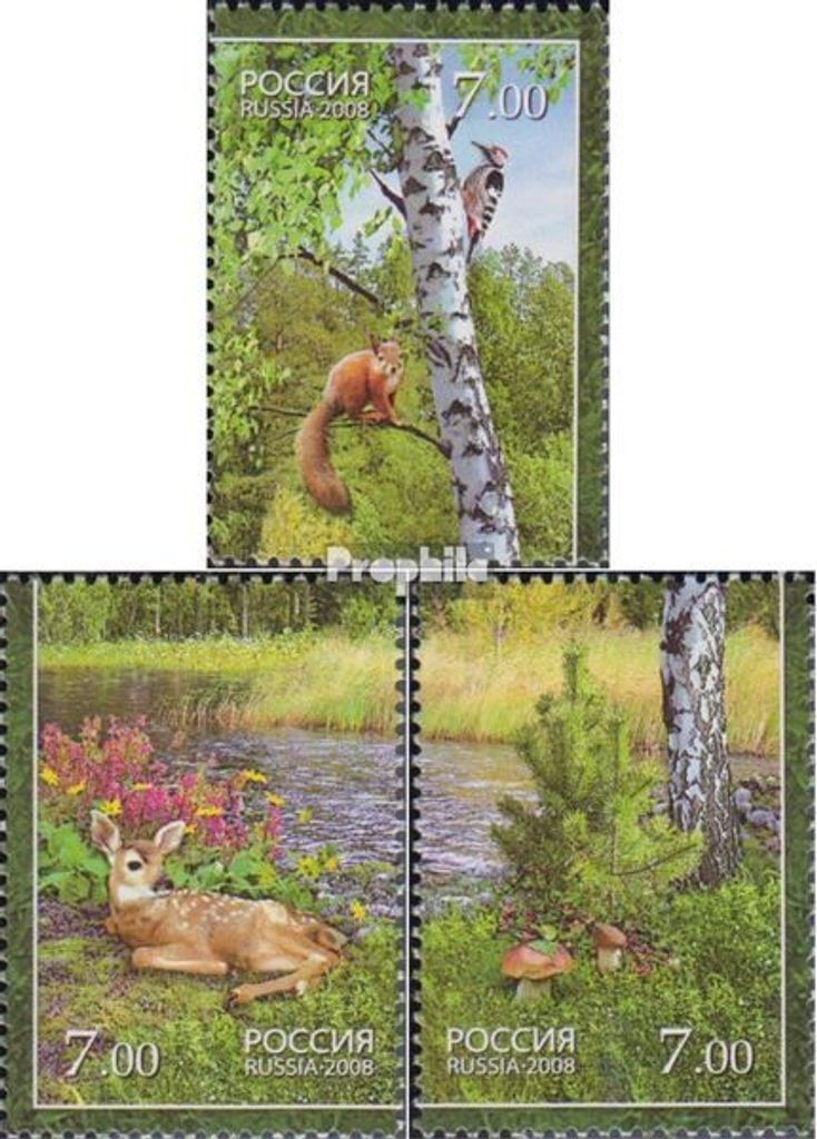 Briefmarken Russland 2008 Mi 1498-1500 (kompl.Ausg.) postfrisch Flora und Fauna des Waldes