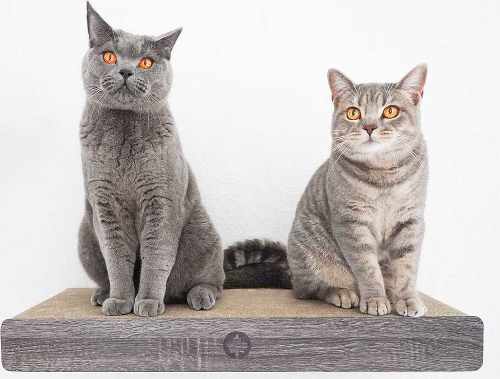 CLOUD | škrabka na zeď tmavě šedá | Canadian Cat | 70 x 30 Obrázek produktu 