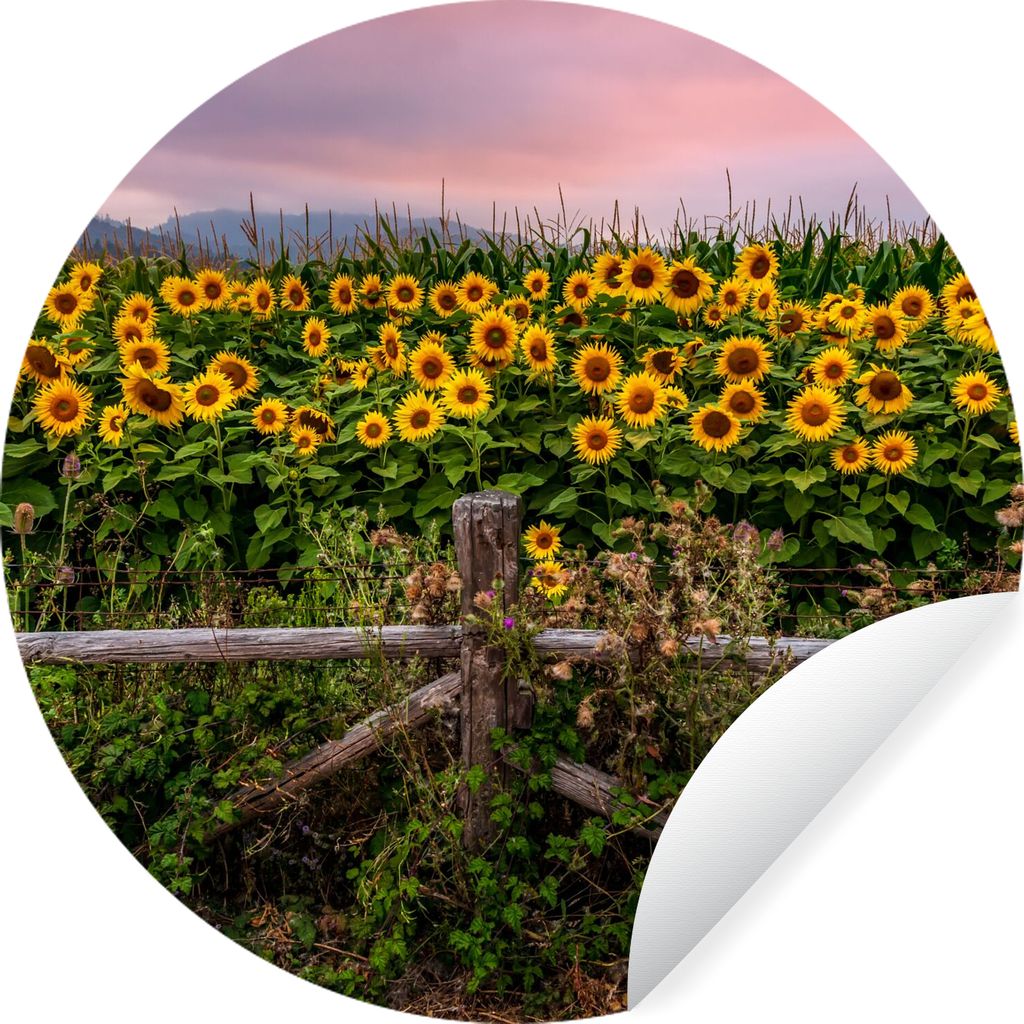 MuchoWow Runde Wandtattoo - Wandsticker Tapete Aufkleber Sonnenblume - Blumen - Pflanzen Ø 30 cm Selbstklebend und Repositionierbar - Wandaufkle...