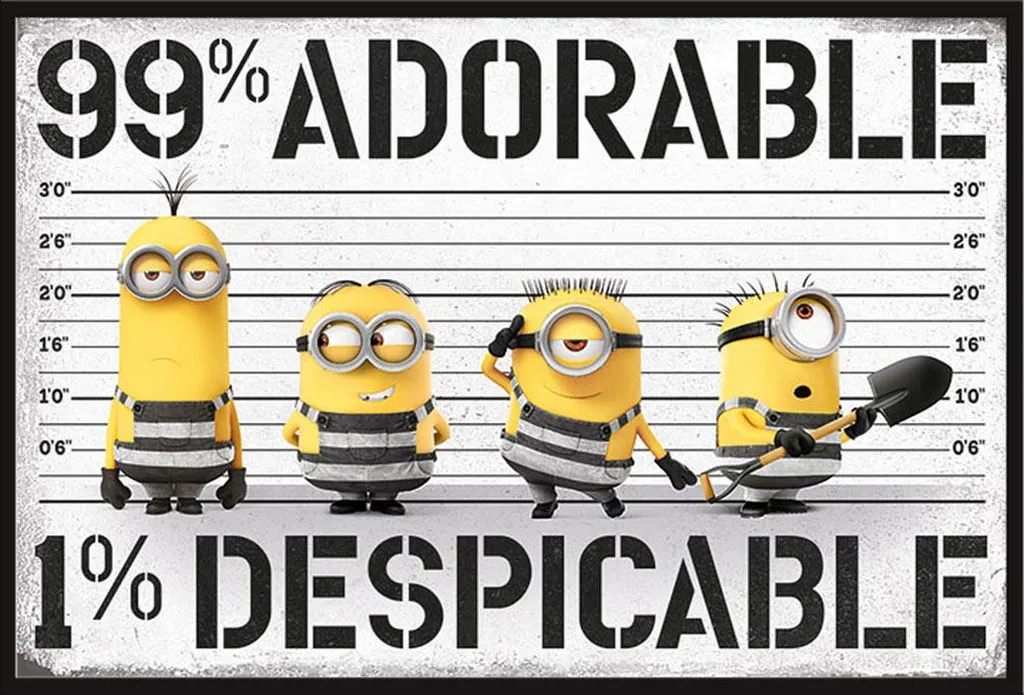 Cadre avec Poster Minion Incassable Vitre Acrylique Moi moche et méchant