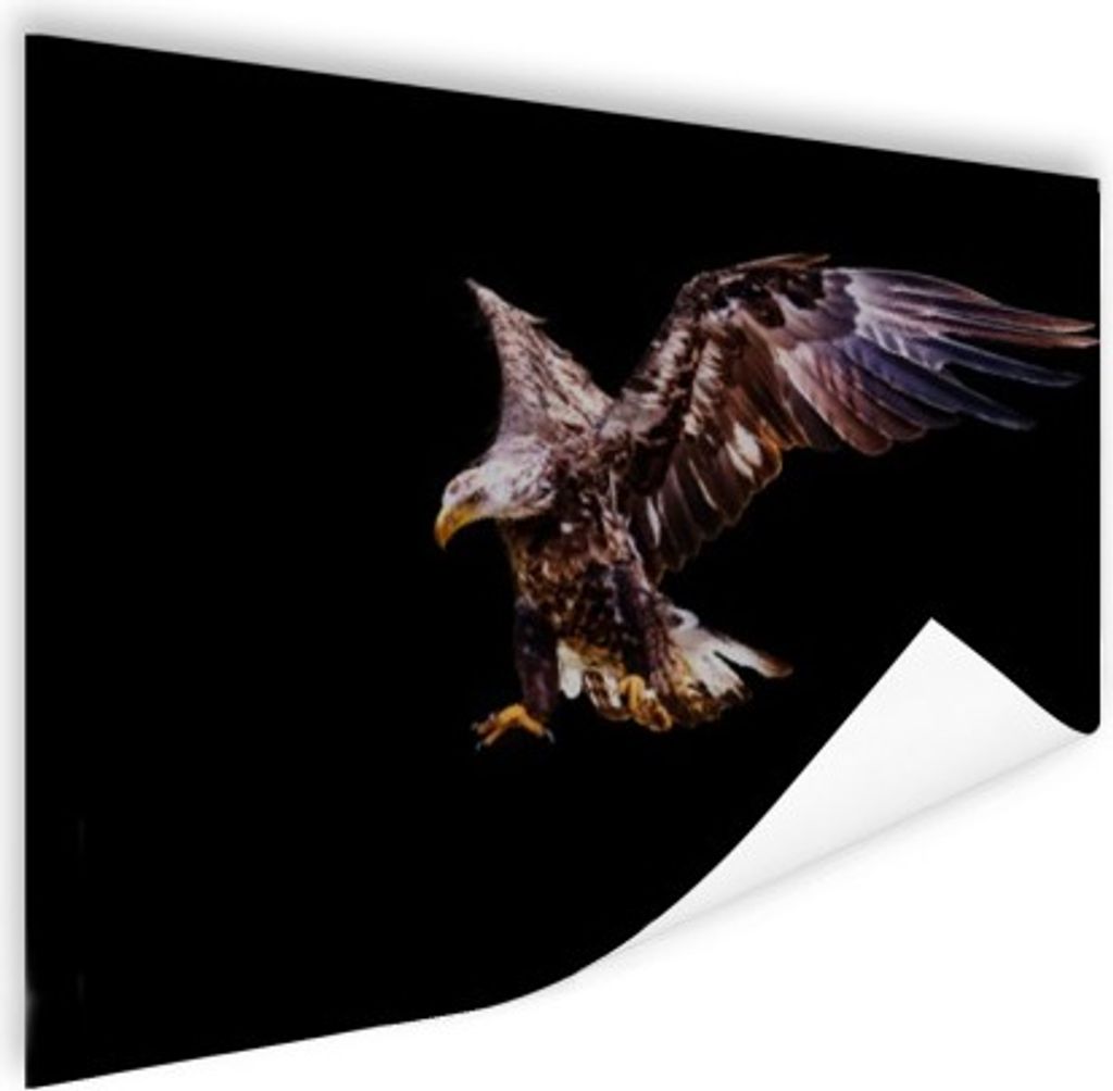 MuchoWow Poster Adler - Nacht - Vögel 60x40 cm - Schlafzimmerdekoration