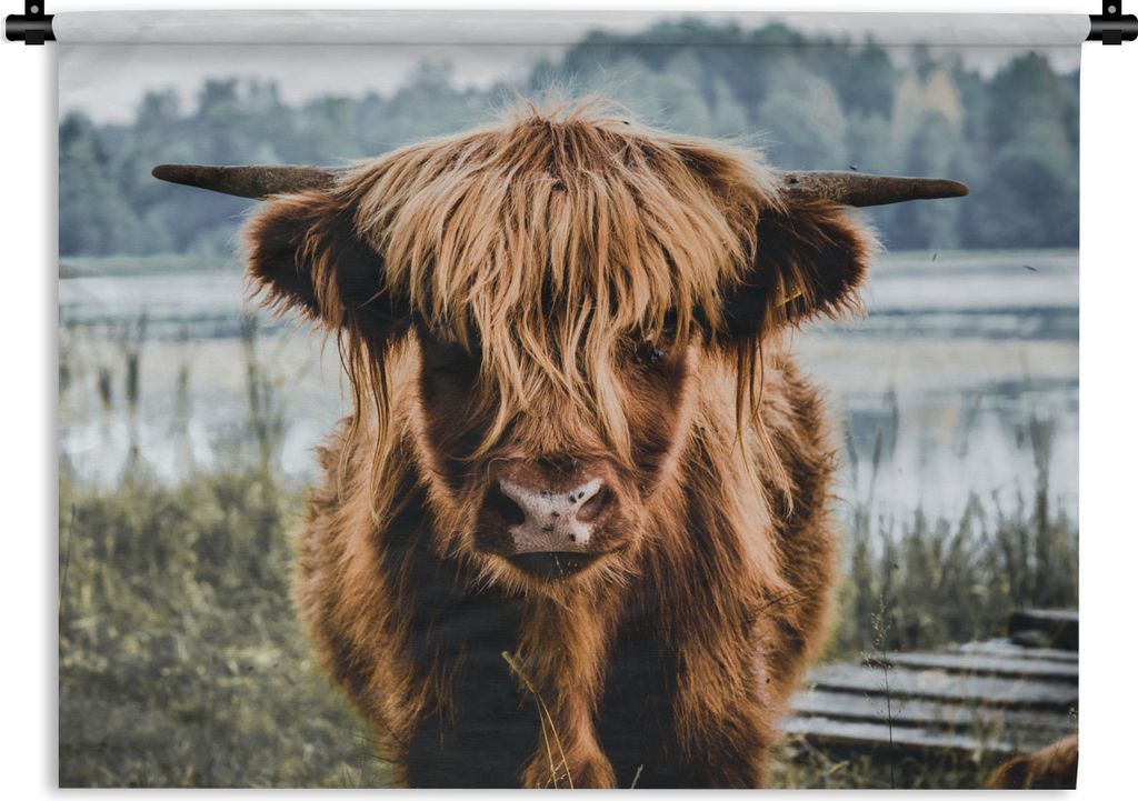 MuchoWow Wandteppich Wandbehang Kühe - Schottische Hochlandbewohner - Braun - Natur 60x45 cm Tapisserie Dekoration Wandtuch - Das Schlafzimmer