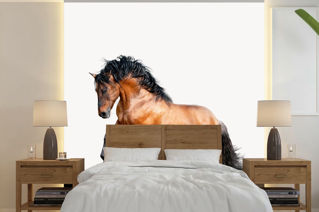 MuchoWow Fototapete für Wohnzimmer oder Schlafzimmer Wandtapete Vinyl Motivtapete Pferd - Tiere - Weiß - Jungen - Mädchen - Kinder - 300x300 c...