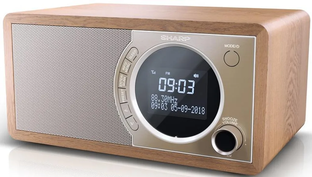 Radio Numérique DAB+ Sharp DR-450(BR) avec Enceinte Bluetooth en Bois - 14
