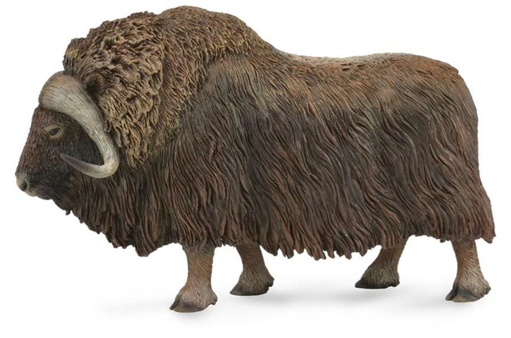 Collecta Wild Dieren Muskusos 13 cm Immagine del prodotto 