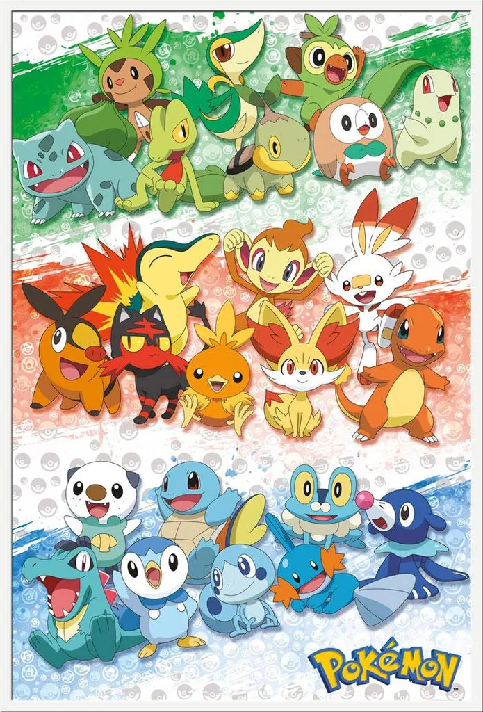 Cadre photo blanc Pokémon First Partners - Affiche grand format 61x91cm