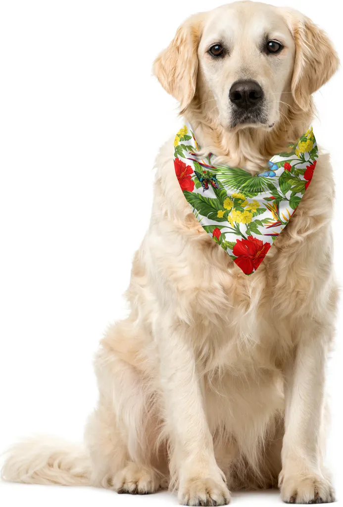 Bandana Cane Ibisco Allegra Farfalla ABAKUHAUS 40x40 Verde Oliva