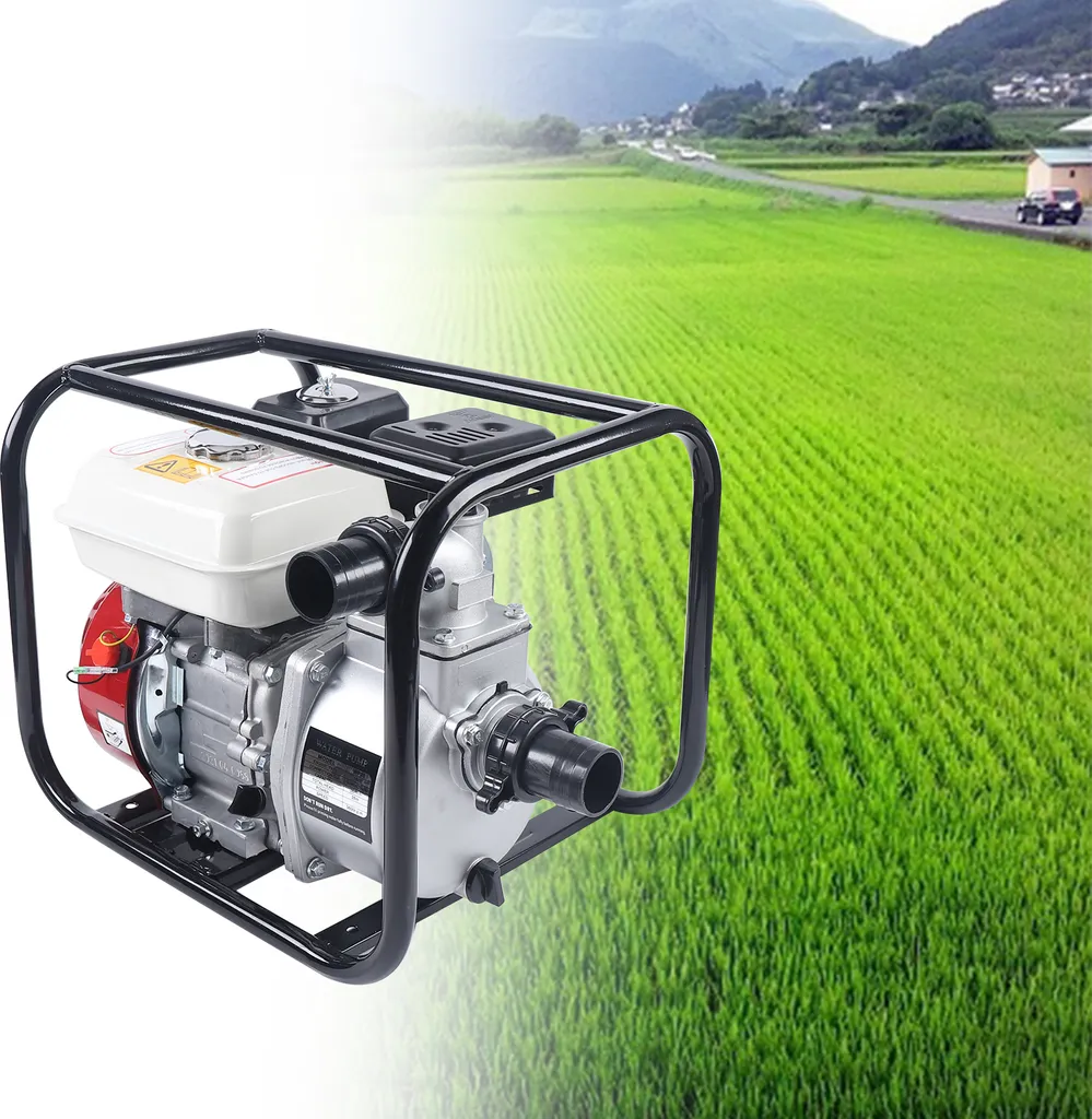 Pompe à eau 6,5 CV anti-inondation : solution efficace à débit élevé - 2