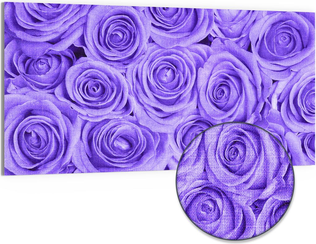 DEQORI Hybrid Leinwand Bild 100x50 cm 'Lila Rosenpracht' Wandbild Glas flach modern