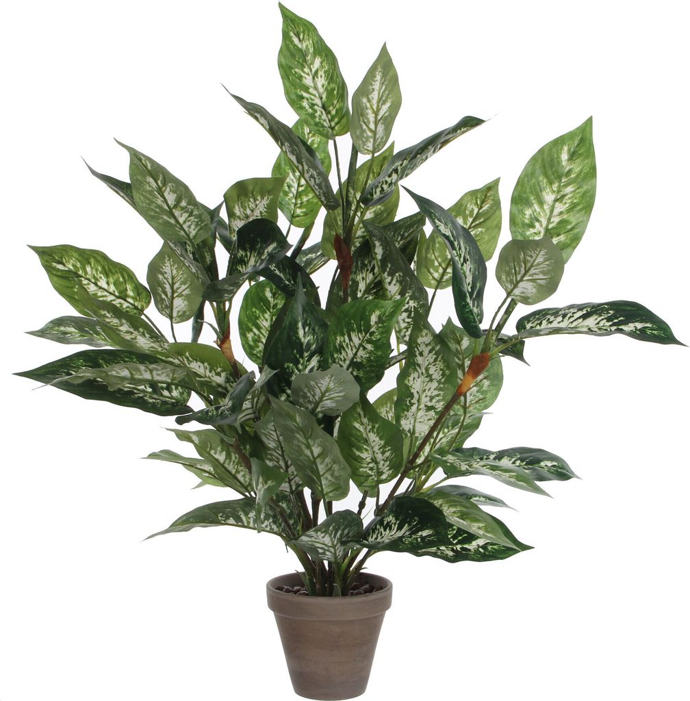 Mica Decorations Dieffenbachie Kunstpflanze - H70 x Ø55 cm - Grün