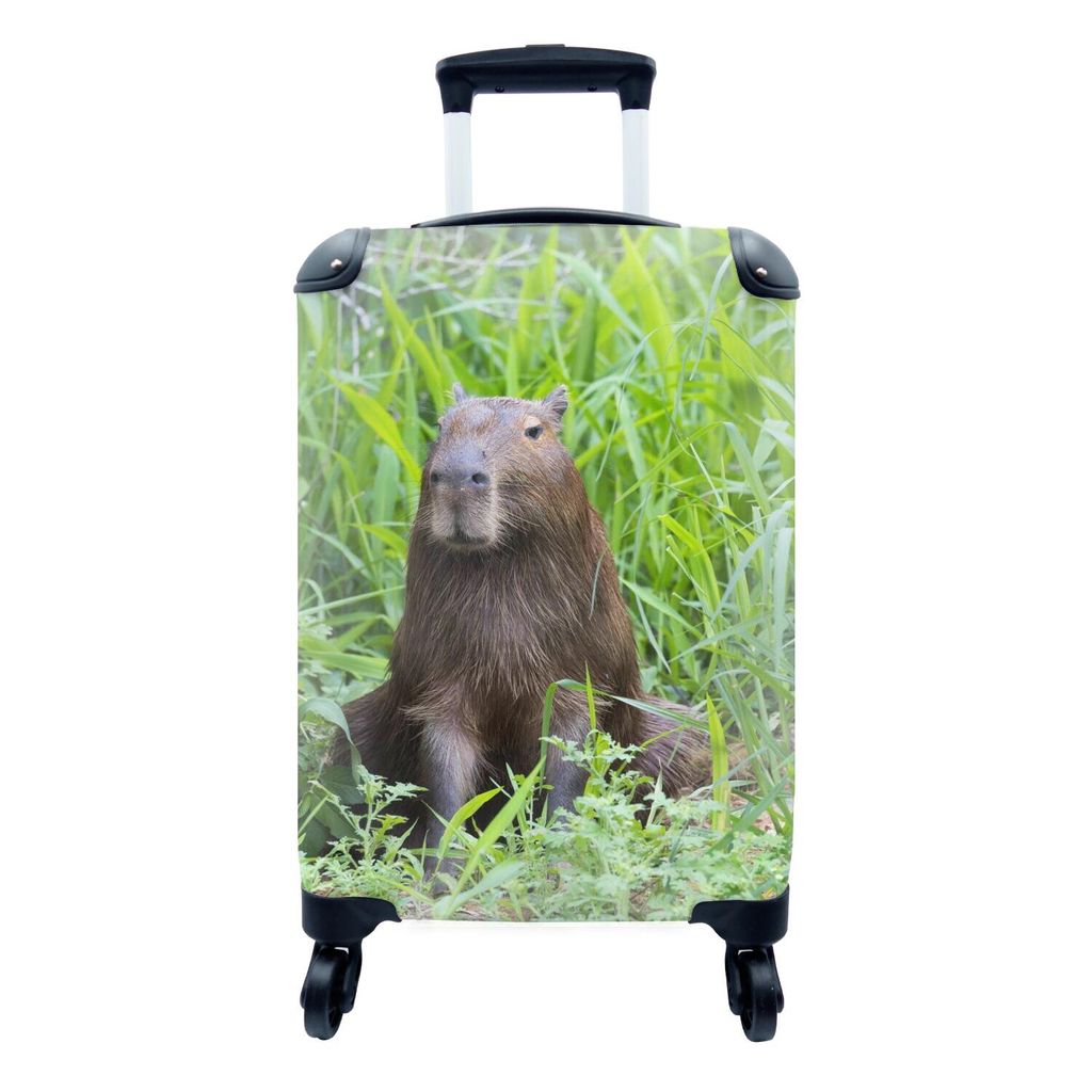 MuchoWow Koffer Handgepäck Trolley Rollkoffer Kleine Reisekoffer mit 4 Rollen - Ein Wasserschwein sitzt im hohen grünen Gras - Cabin Size < 55x...