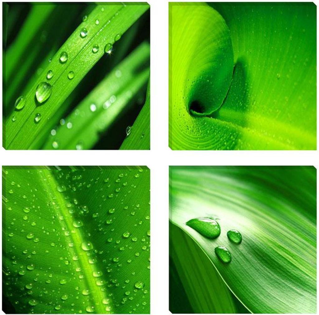 Visario Leinwandbild Grüne Blätter 60x60 cm – 4-teilig, Produktbild 