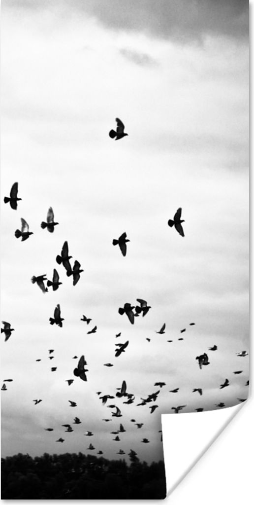 MuchoWow Poster Tiere - Vögel - Wolken - Schwarz - Weiß 20x40 cm - Plakat - Foto