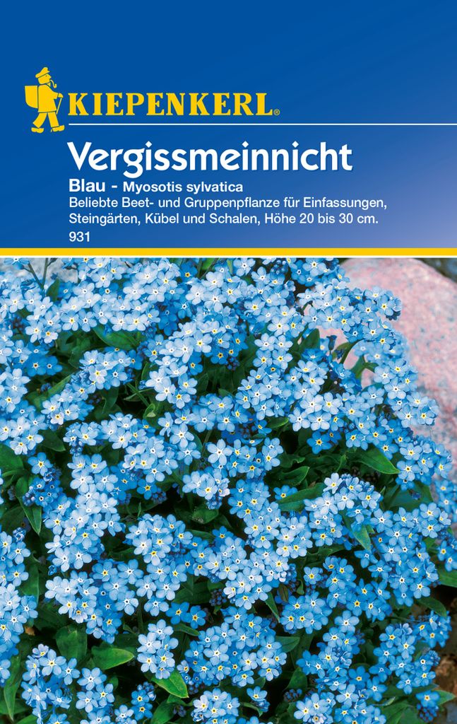Kiepenkerl Profi-Line Vergissmeinnicht-Samen Heavenly Blue Produktbild 