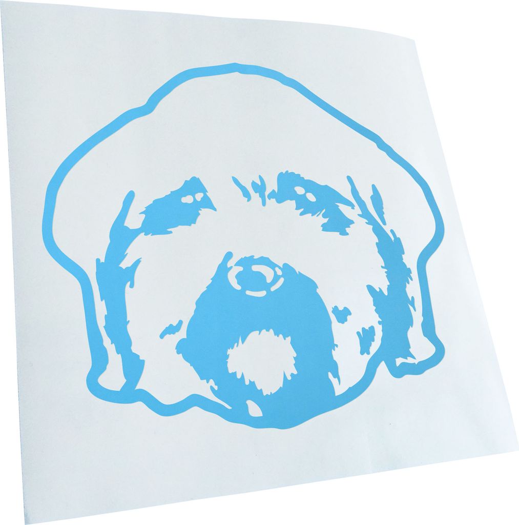 Kiwistar - Autoaufkleber - Maltipoo Hund - Lichtblau - 50x42cm - Aufkleber für Auto, Laptop, Fahrrad, LKW, Motorrad mehrfarbig JDM Decal Racing