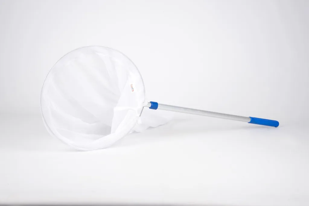 Épuisette extensible jouet de plein air pour capturer des insectes
