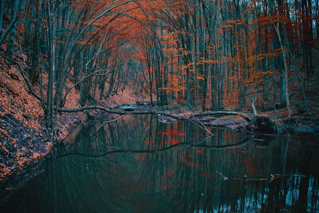 hansepuzzle 44089 - Fluss Puzzle, 2000 Teile, Natur, 90,0 x 60,0cm mit hochwertiger Aufbewahrung, Kartonbox und wiederverschließbarem Beutel