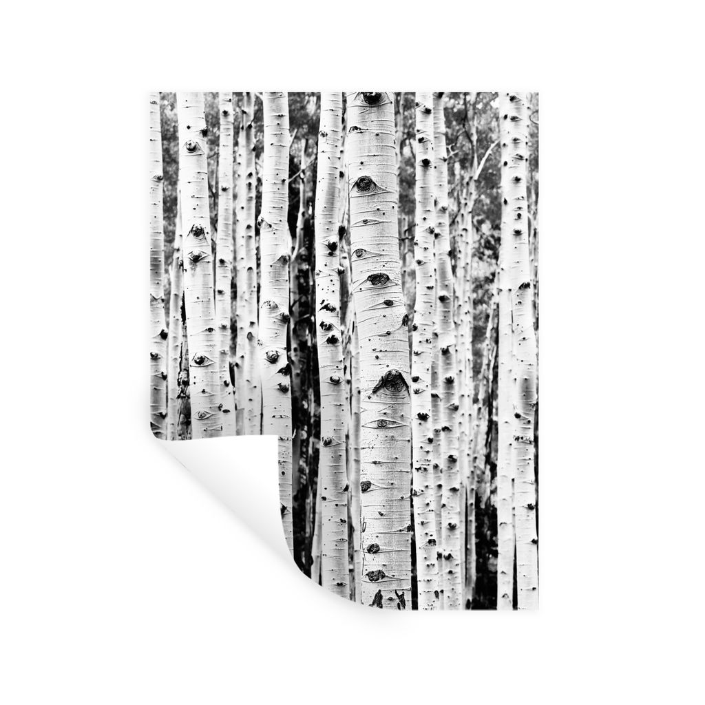 MuchoWow Wandtattoo Wandsticker Wandaufkleber Bäume - Holz - Schwarz und weiß - Natur 90x120 cm Selbstklebend und Repositionierbar - Faltenfrei