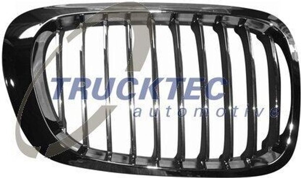 TRUCKTEC AUTOMOTIVE 08.62.254 Kühlergrill Frontgrill für BMW 3 Coupe (E46) Rechts