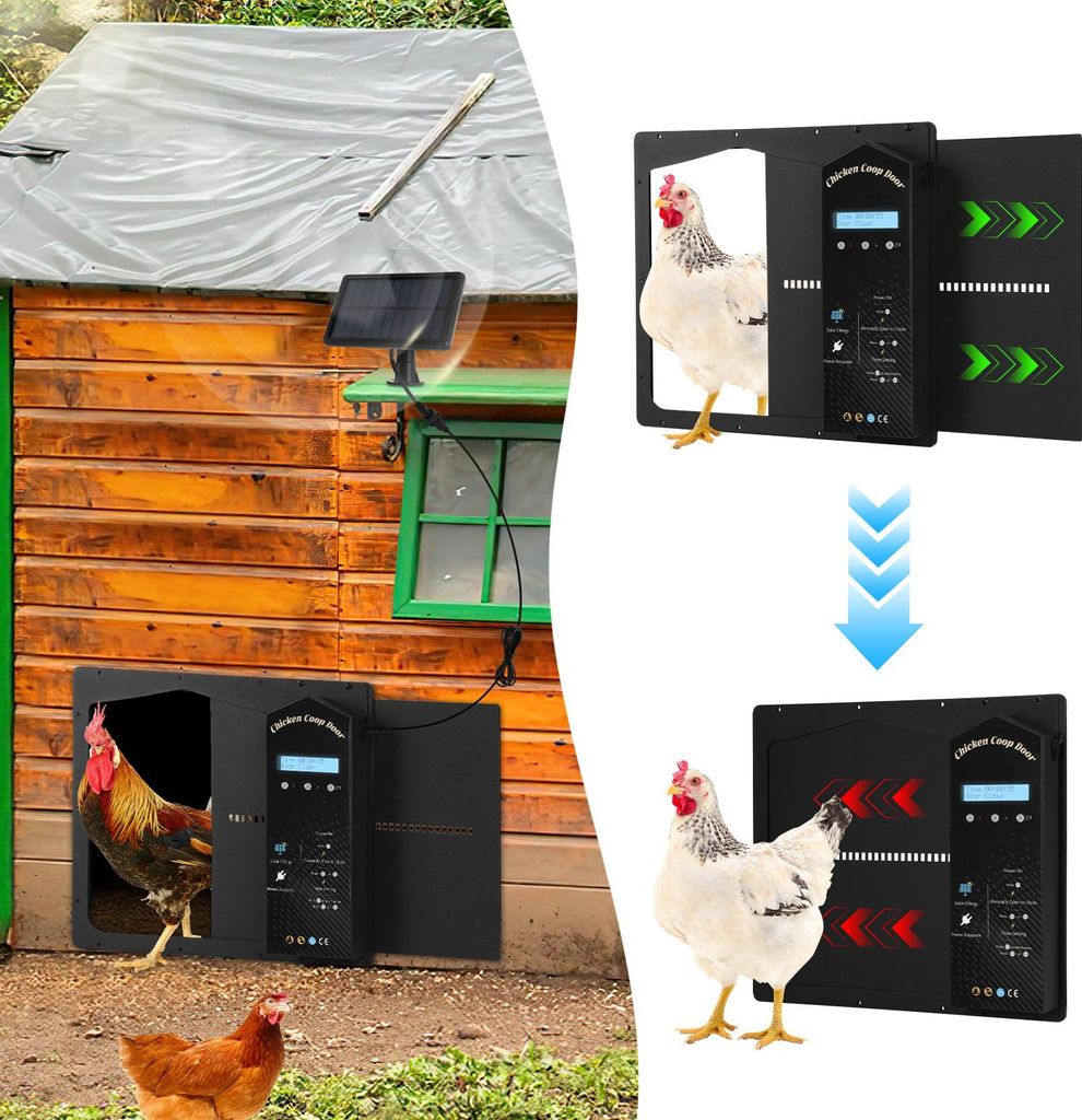 Puerta automática de apertura lateral para gallinas, con Imagen del producto 