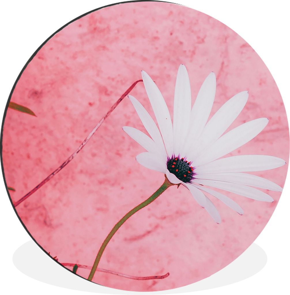 MuchoWow Aluminium Wandkreis Blumen - Rosa - Vintage Ø 30 cm Wanddeko Modern Wohnzimmer - Wand Bild - Wohnzimmer - Runde Bilder - Alubilder - Ku...