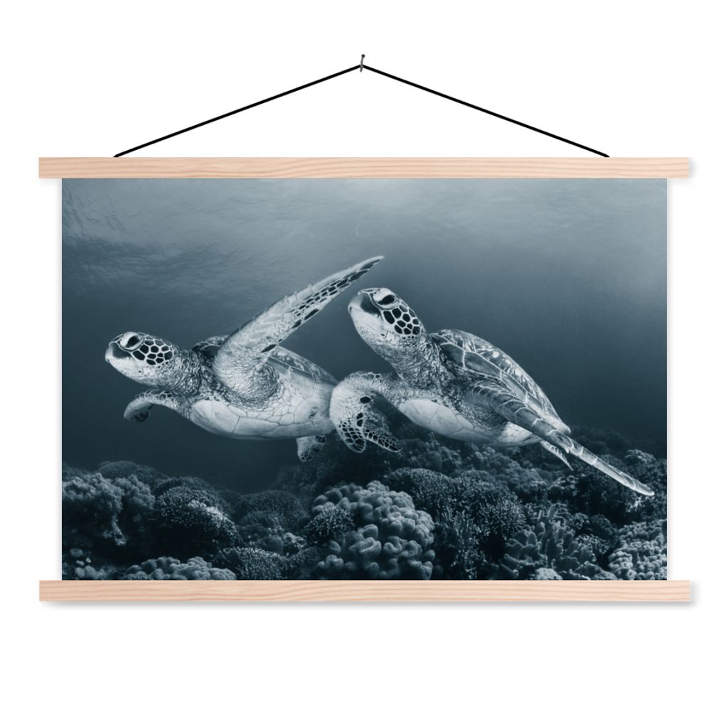 MuchoWow Textilposter Schildkröte - Meerestiere - Schwarz und weiß - Wilde Tiere 60x40 cm mit holzfarbenen Rahmen - Bilder
