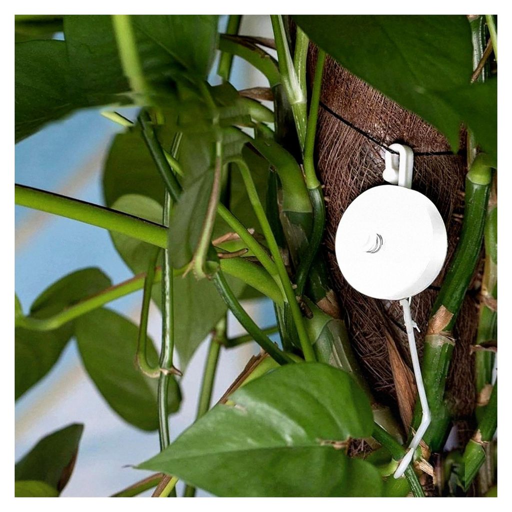Pflanzen-Yoyo - 10 Stück Rankhilfe Aufhänger | Hydrokultur Pflanzenhalter für Zuhause, Garten, Balkon und Hinterhof