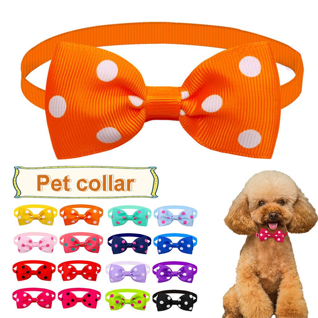 4 Katzenhalsbänder Mit Glocke & Abnehmbaren Blumen – Verstellbar 20,3–30,5 Cm, Nylon