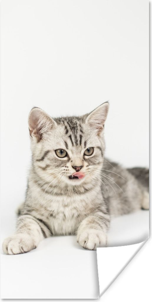 MuchoWow Poster Kitten - Weiß - Sohle - Mädchen - Kinder - Jungen - Kind 60x120 cm - Wandschmuck