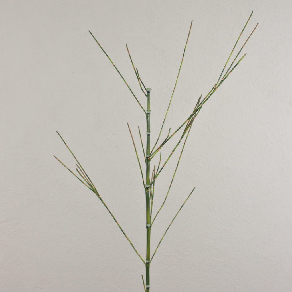artplants.de Künstlicher Bambuszweig HARUTO, 135cm - Deko Bambus