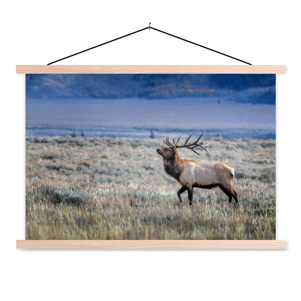 MuchoWow Textilposter Hirsche - Elche - Gras 60x40 cm mit holzfarbenen Rahmen - Bilder