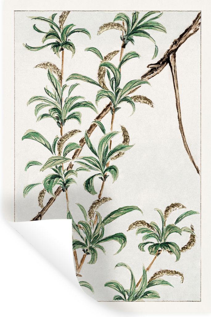 MuchoWow Wandtattoo Wandsticker Wandaufkleber Zweig - Blätter - Japandi - Vintage 40x60 cm Selbstklebend und Repositionierbar - Wierderverwendba...