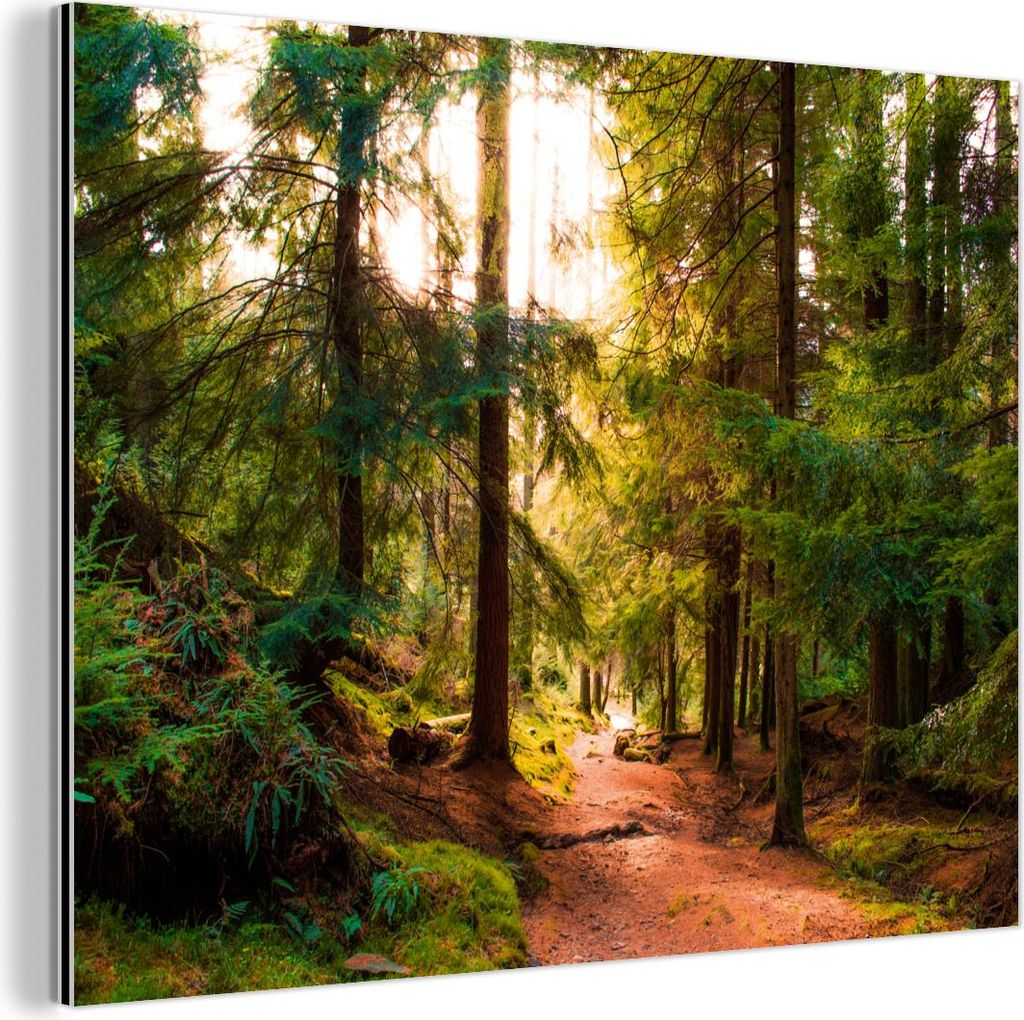 MuchoWow Wanddekoration Metall Metallbild Wandkunst 40x30 cm Wald - Weg - Bäume - Grün - Sonne - Natur MuchoWow Aluminium Gemälde - Dekoration W...