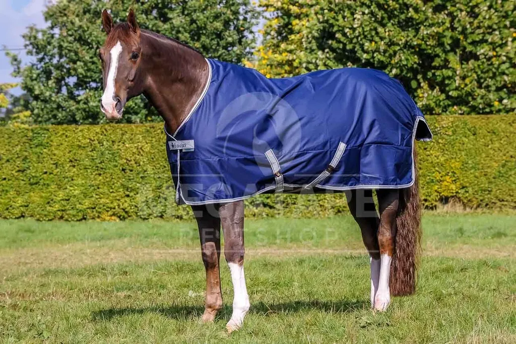 Bucas Freedom Turnout 150g Navy/Silver 155 | Coperta Cavallo Impermeabile