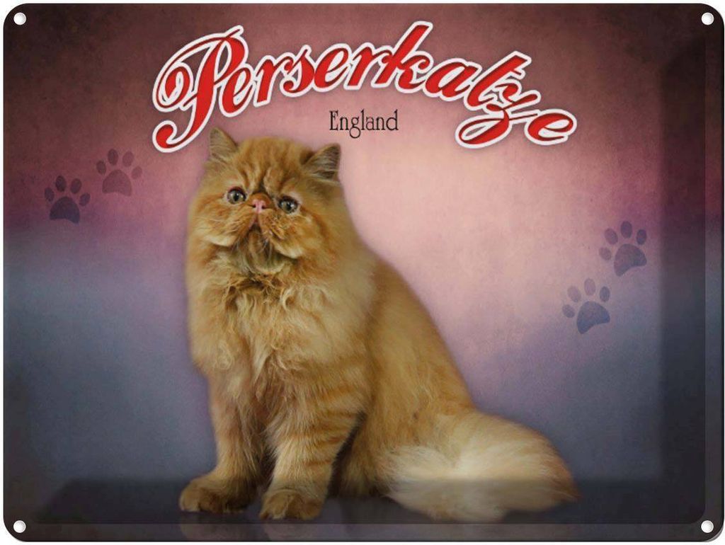 vianmo Blechschild 30x40 cm Katze Perserkatze England Produktbild 