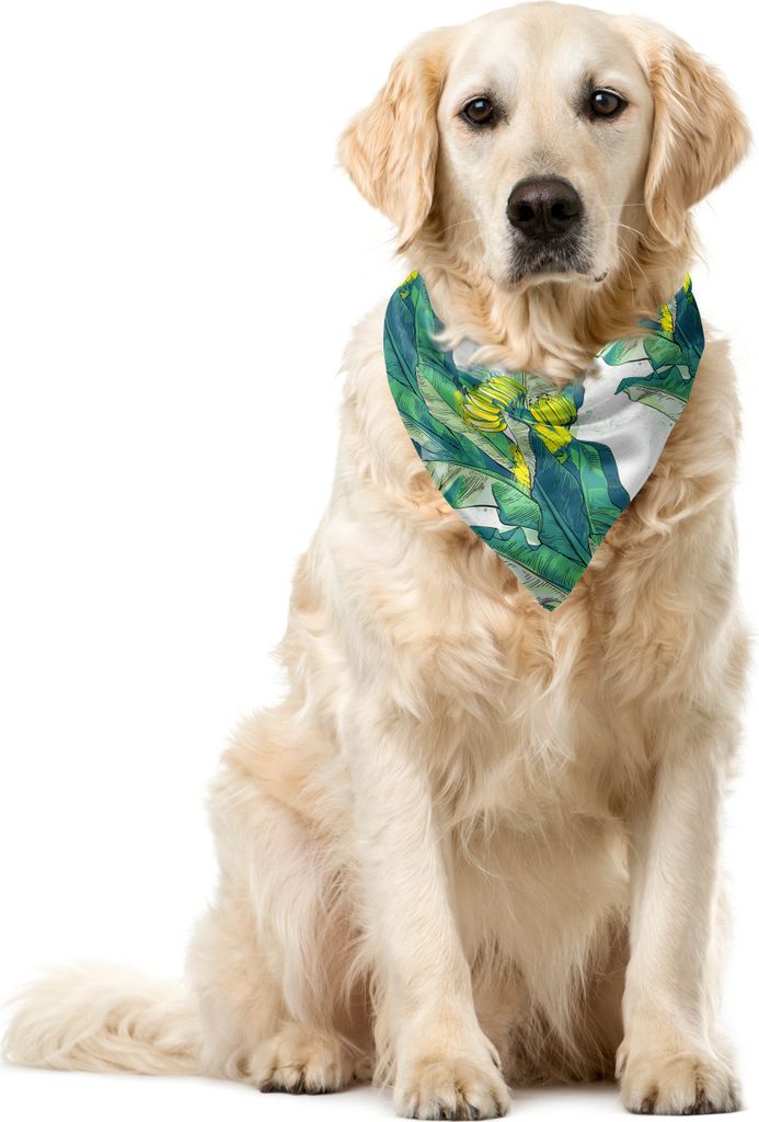 ABAKUHAUS Tropisch Haustier Bandana, Bananen-Baum Exotische Früchte, 40x40 cm, Yellow Pale Petrol Blau