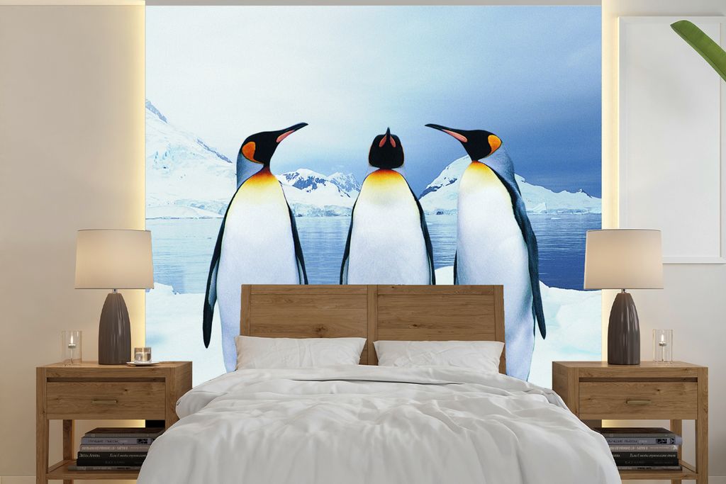 MuchoWow Fototapete für Wohnzimmer oder Schlafzimmer Wandtapete Vinyl Motivtapete Drei Pinguine Porträt - 300x300 cm - Wanddekoration