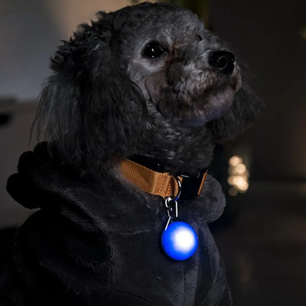 Inseguitore ha condotto la luce per la luce del pendente del collare del cane dell'imbracatura - 7
