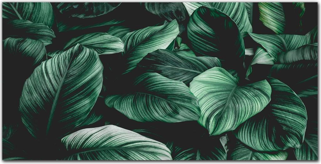 Coloray Bild aus Acryl 140 cm x 70 cm - Gehärtetes Acryl Bild auf Acrylglas Wohnzimmer Küche Dekoration Wanddekoration - Blätter Monster