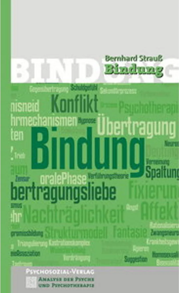 Fixations Bindung Anti-Vibration - Solution pour un Ski Fluide et Stable